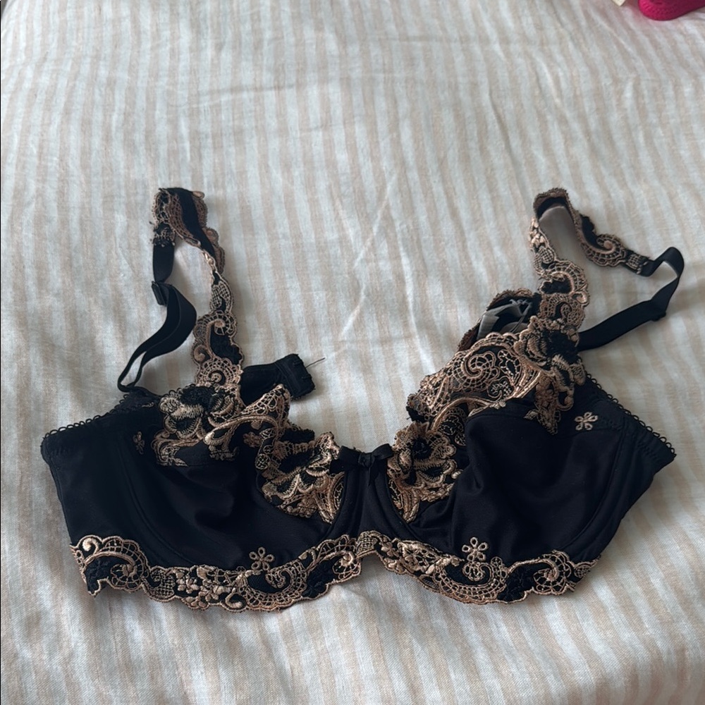 Millesia 34B bra